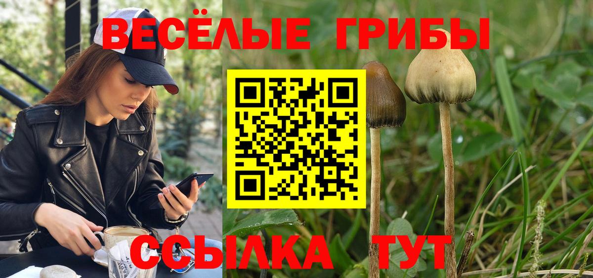 Пенза  Псилоцибиновые грибы ЛСД  Псилоцибиновые грибы GOLDEN TEACHER  магазин  наркотиков  Вход с VPN 