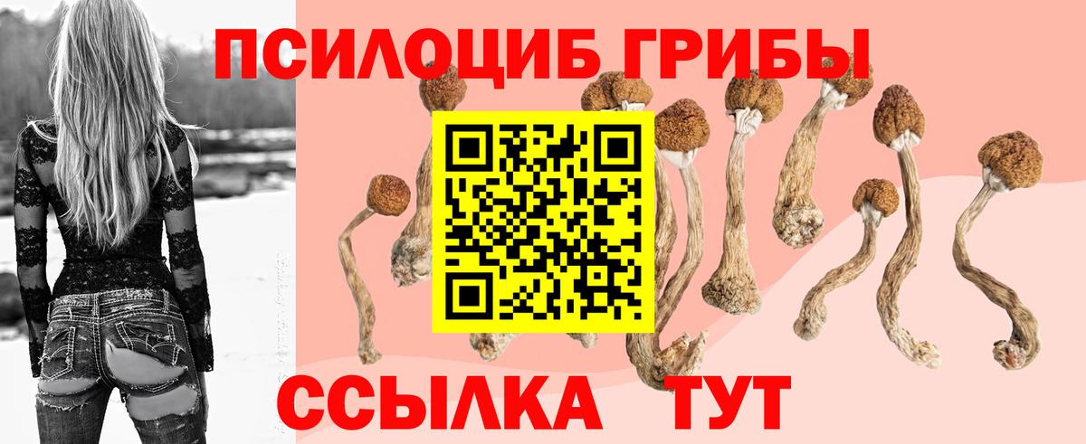 Галлюциногенные грибы мицелий Пенза